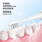 成人電動牙刷 S700