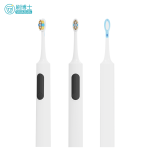 成人電動牙刷 S503